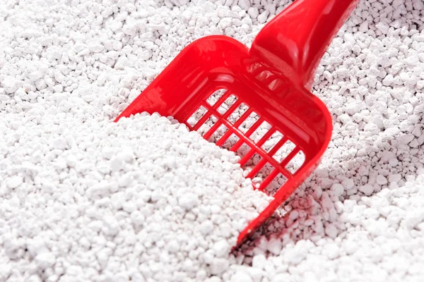 Kepçe kedi çöp kutu içinde çöp