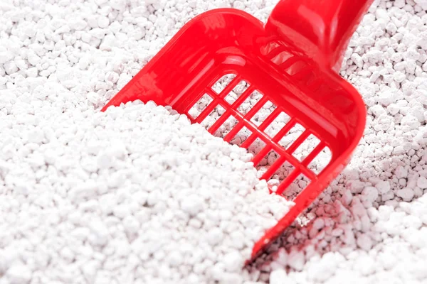 Kepçe kedi çöp kutu içinde çöp