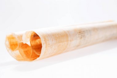 İzole papirüs kaydırma