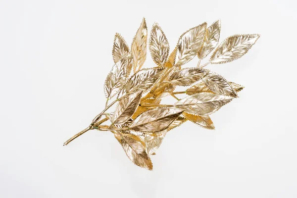 Pięknie malowane złote Jemioła na białym tle — Zdjęcie stockowe