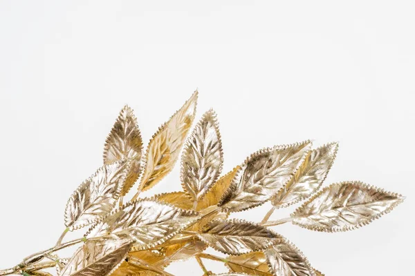 Beautiful painted golden mistletoe isolated — Stock Photo, Image