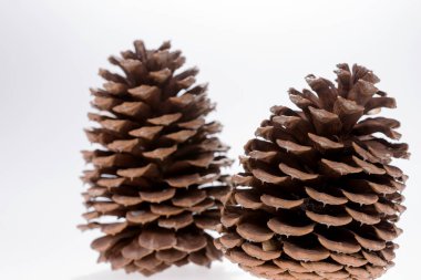 İzole iki büyük külah