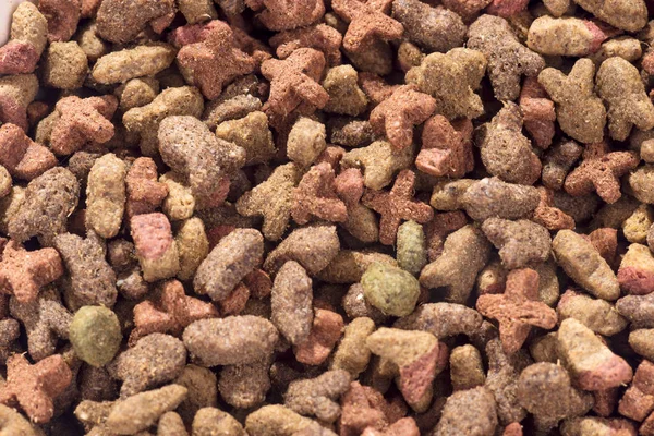 Colorful dry cat dog food in granules