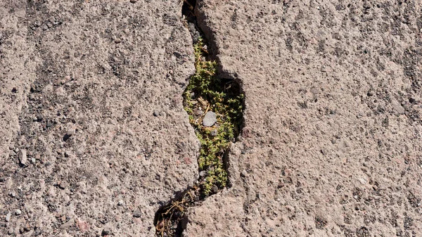 Close up of a broken stair step — Stock Photo, Image