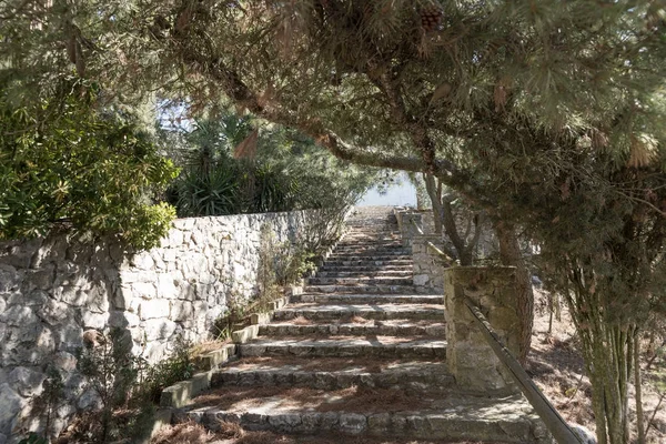 Natural stone steps in the park — Stock Photo, Image