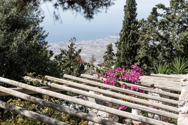 Flores roxas Bougainvillea em uma pérgula de madeira — Fotografia de Stock