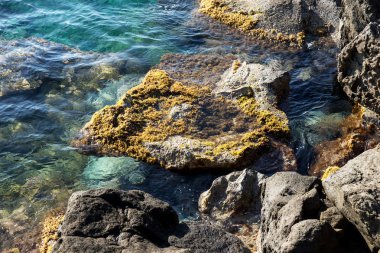 Paslı metal asma kilit korkuluk olarak