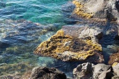 Paslı metal asma kilit korkuluk olarak