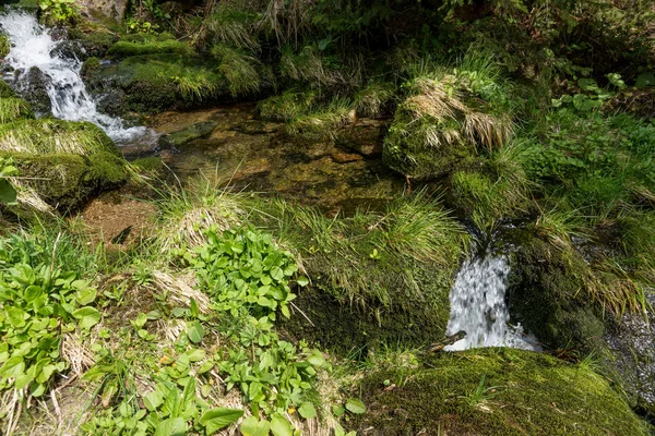 Невеликий Водоспад Між Камінням Мохом Лісі — стокове фото