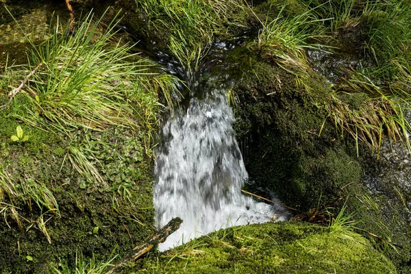 Невеликий Водоспад Між Камінням Мохом Лісі — стокове фото