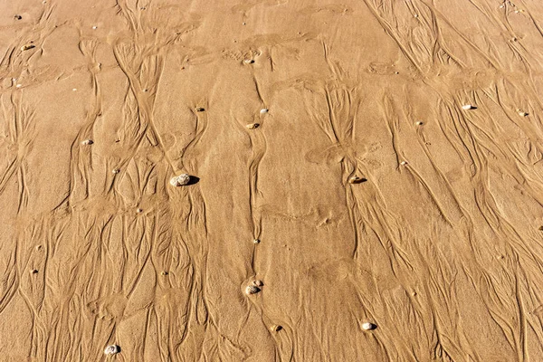 Texture Plage Sable Plage Sable Brun Pour Votre Fond — Photo