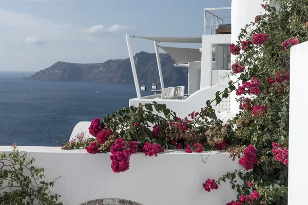 Flores Parede Aldeia Oia Ilha Santorini — Fotografia de Stock