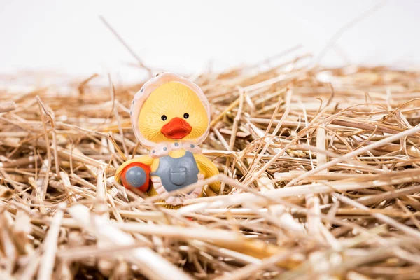 Little Chick Straw Easter Background — Stock Photo, Image