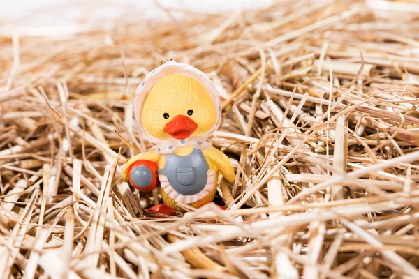 Little Chick Straw Easter Background — Stock Photo, Image
