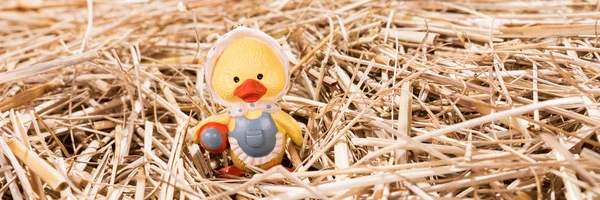 Little Chick Straw Easter Background — Stock Photo, Image