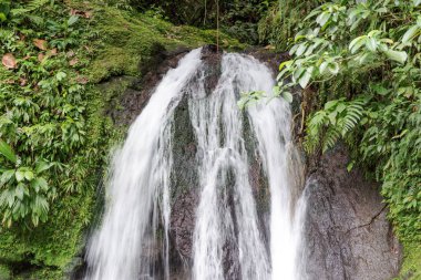 Güzel şelale adı Cascades aux Ecrevisses ile. Guadeloupe, Karayip Adaları