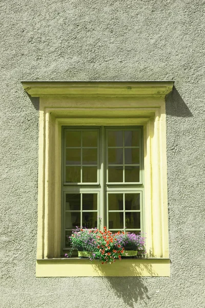 Staré Okno Květiny Staré Budově — Stock fotografie