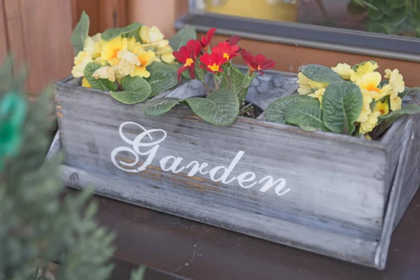 Boîte Fleurs Bois Dans Fenêtre Avec Texte Jardin — Photo