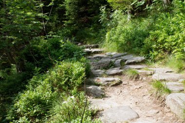 Yaz aylarında kayalık yolundaki Milli Parkı Krkonose Giant mountains, Çek Cumhuriyeti