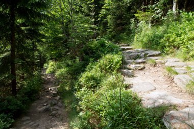 Yaz aylarında kayalık yolundaki Milli Parkı Krkonose Giant mountains, Çek Cumhuriyeti