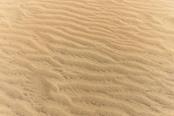 Brown Sandy Beach Background Sand Beach Texture — Stock Photo, Image