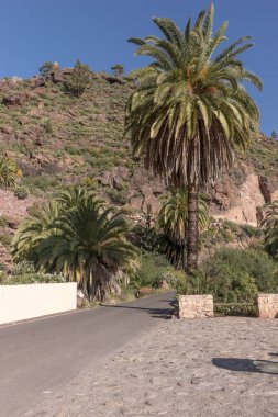 Gran Canaria ada dağlarında yol