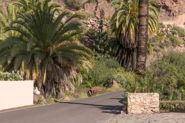 Road Mountains Island Gran Canaria — Stock Photo, Image