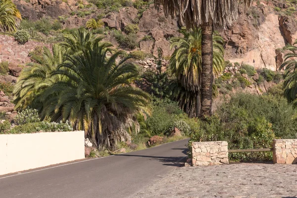 Road Mountains Island Gran Canaria — Stock Photo, Image