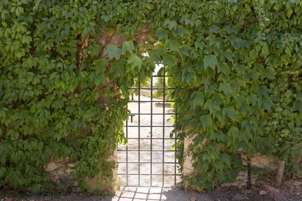 Metal Fence Gate Lush Vegetation Hedge — Stock Photo, Image