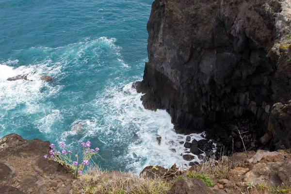 Costa Rocosa Madeira Con Una Hermosa Vista Sobre Las Aguas — Foto de Stock