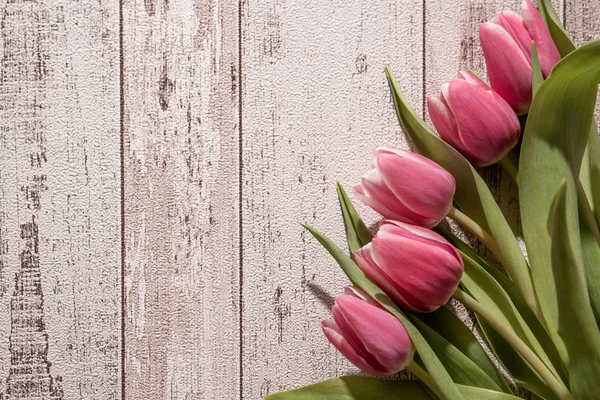 Rózsaszín Tulipán Háttér Tulipán Virág Háttér — Stock Fotó