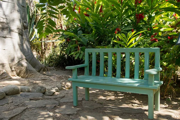Green Wooden Bench Park Tropical Plants — Stock Photo, Image