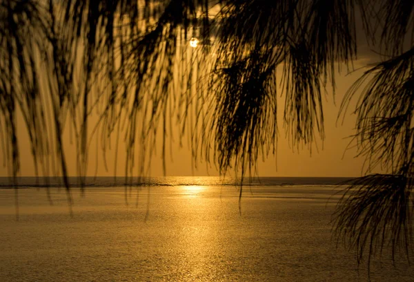 Ηλιοβασίλεμα Στην Τροπική Παραλία Καλοκαίρι — Φωτογραφία Αρχείου