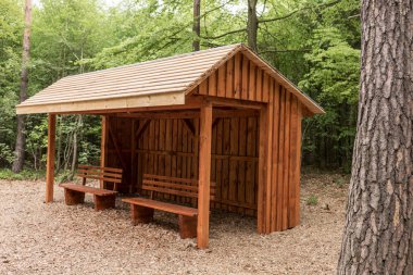 Ormanda piknik için yeni bir yer