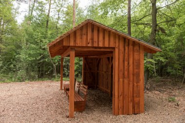 Ormanda piknik için yeni bir yer