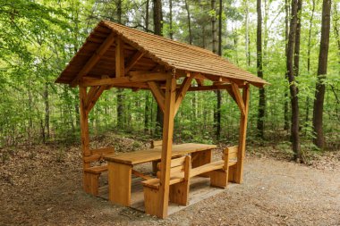 Ormanda piknik için yeni bir yer