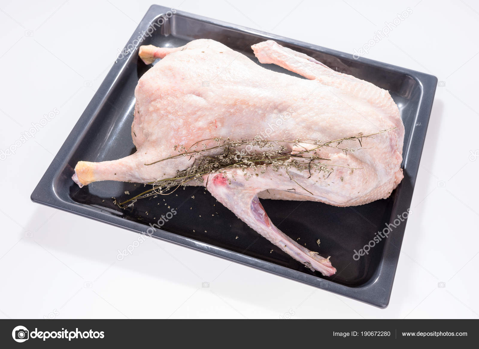 Гусь сырой сверху