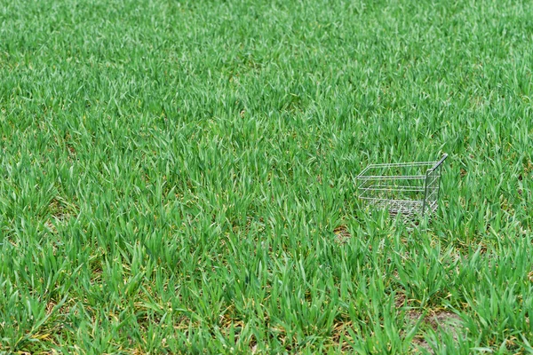 Empty Shopping Cart Green Grass Shopping Concept — Stock Photo, Image
