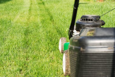 Taze mowed çim Bahçe çim biçme makinesi ön planda