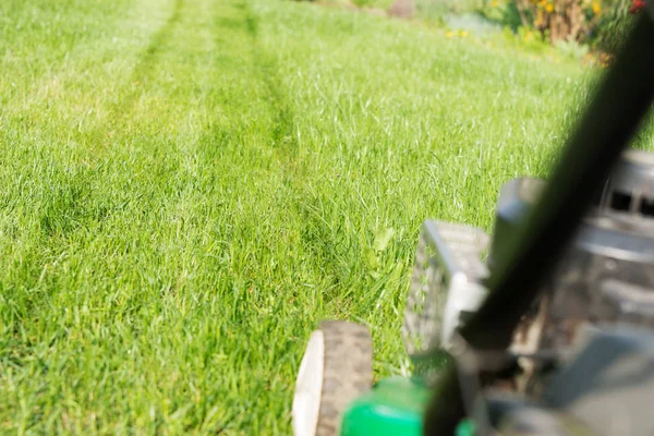 Rumput Baru Dipotong Taman Dengan Mesin Pemotong Rumput Latar Depan — Stok Foto