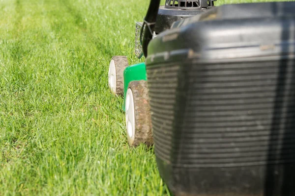 Prato Appena Falciato Giardino Con Tosaerba Primo Piano — Foto Stock