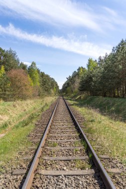 Neredeyse sonsuz düz demiryolu parça orman yoluyla