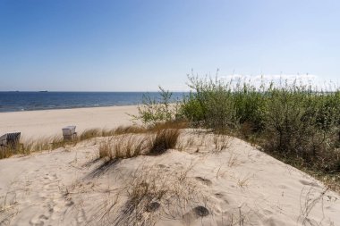 Baltık Denizi 'ndeki kum tepeleri