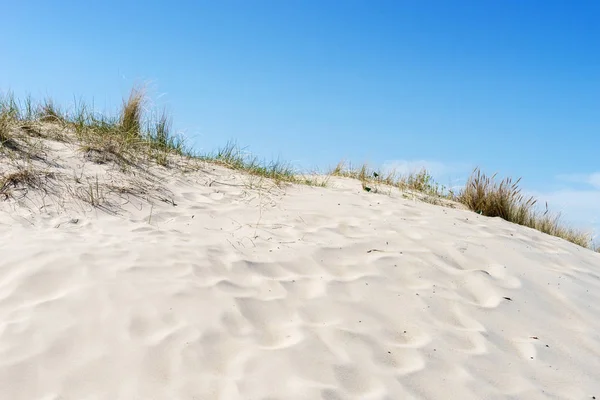 Grassanddünen Der Ostsee — Stockfoto