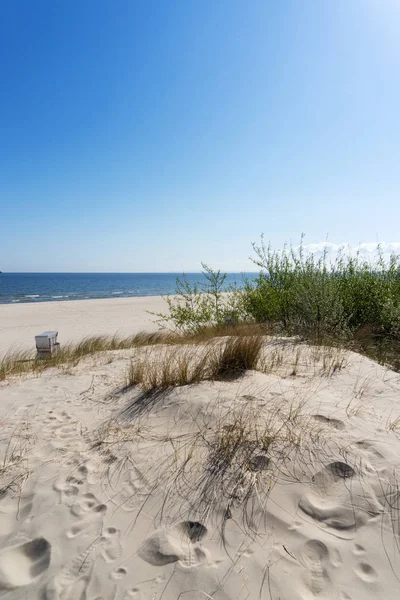 Dune Sabbia Erbosa Sul Mar Baltico — Foto Stock