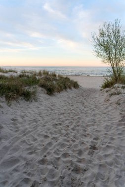 Dunes kum ve çim yumuşak akşam günbatımında ışık. Baltık Denizi Almanya