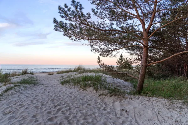 Dunes Kum Çim Yumuşak Akşam Günbatımında Işık Baltık Denizi Almanya — Stok fotoğraf