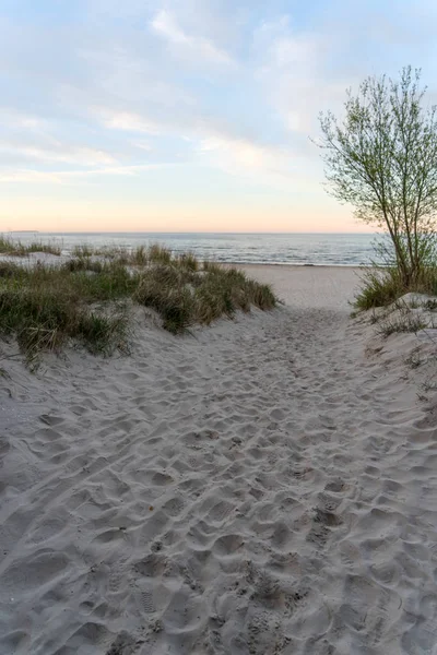 Zand Van Duinen Gras Zachte Avond Zonsondergang Licht Baltic Sea — Stockfoto