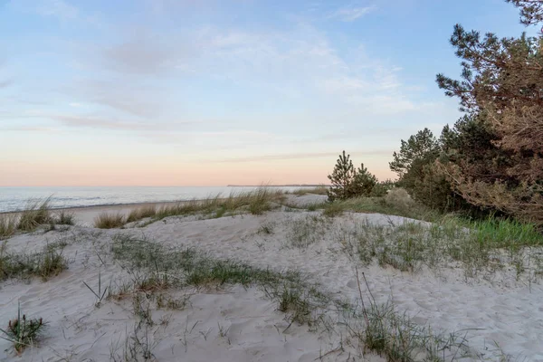 Sandklitter Græs Blødt Solnedgangslys Østersøen Tyskland - Stock-foto