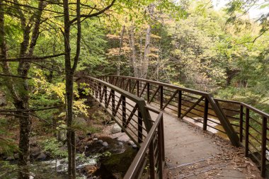 Orowhead Park 'taki nehrin üzerindeki köprü. Ontario. Kanada